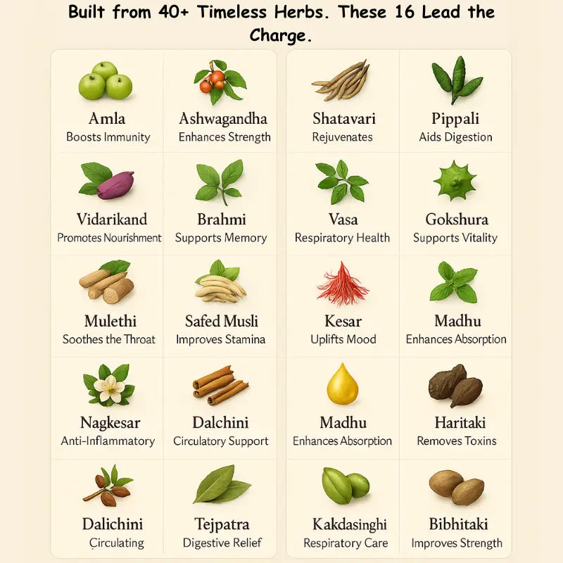 Hridhyam's Immune Booster - The Chavanprash